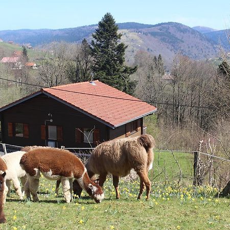 Chalet Les Bouleaux, La Montagne Des Lamas La Bresse Zewnętrze zdjęcie