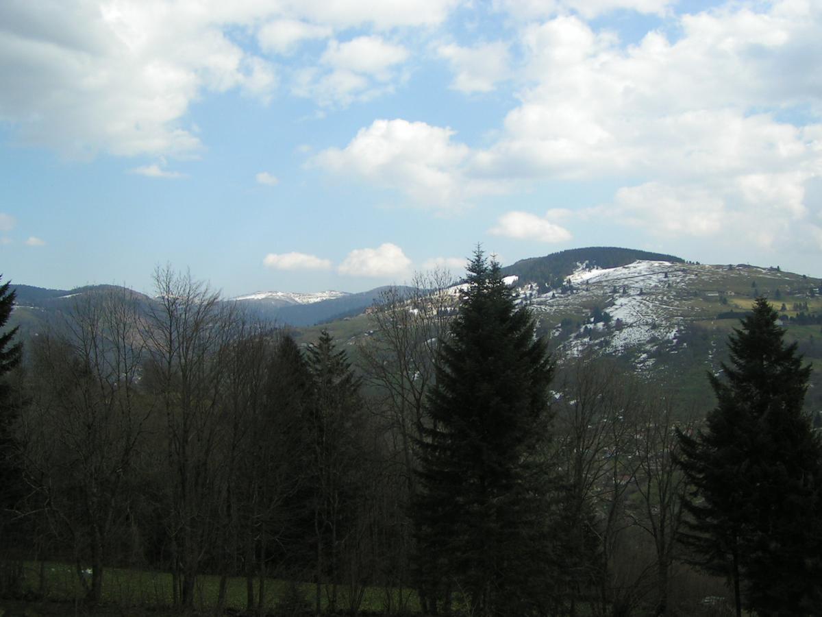 Chalet Les Bouleaux, La Montagne Des Lamas La Bresse Zewnętrze zdjęcie