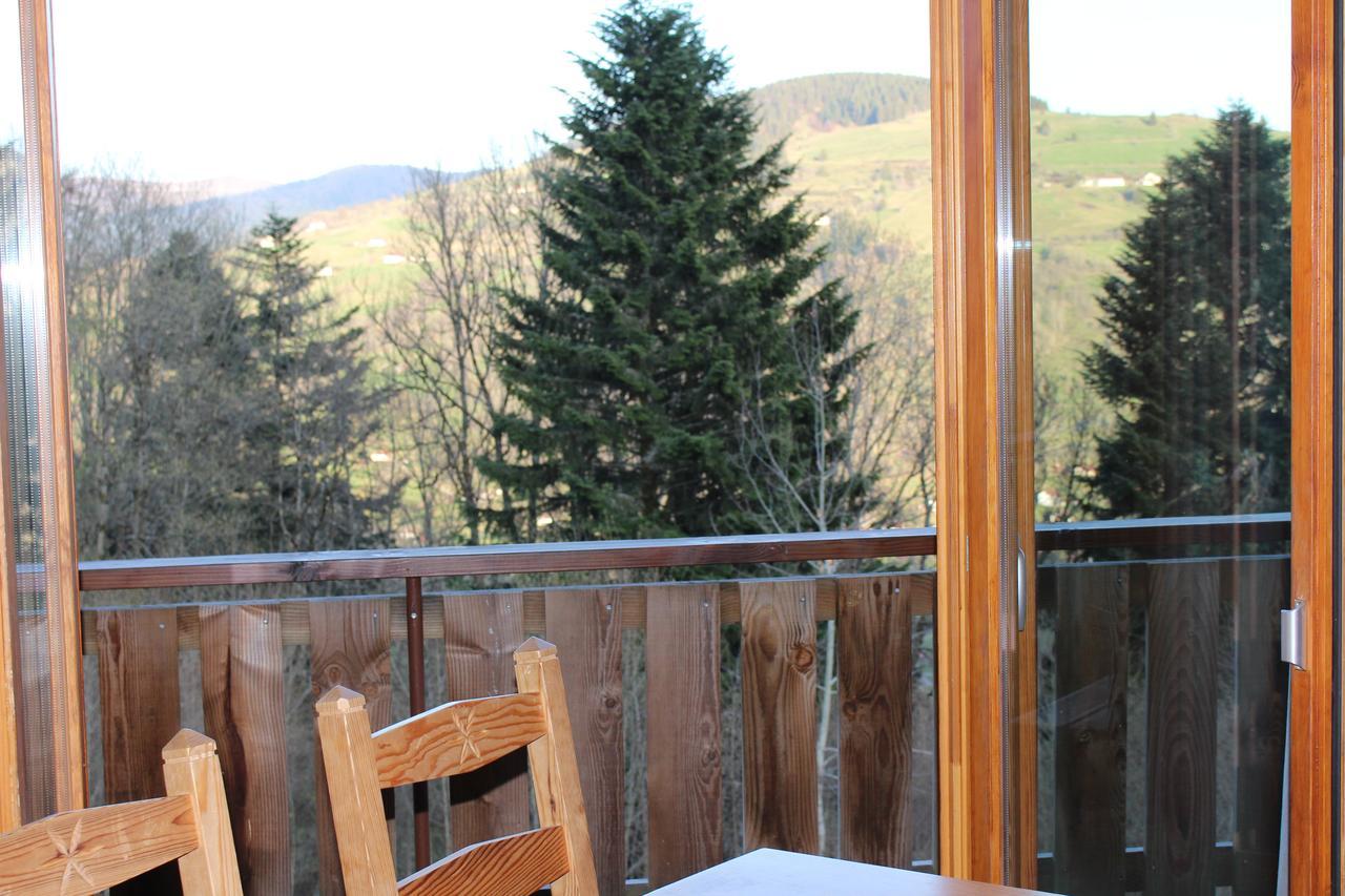 Chalet Les Bouleaux, La Montagne Des Lamas La Bresse Zewnętrze zdjęcie