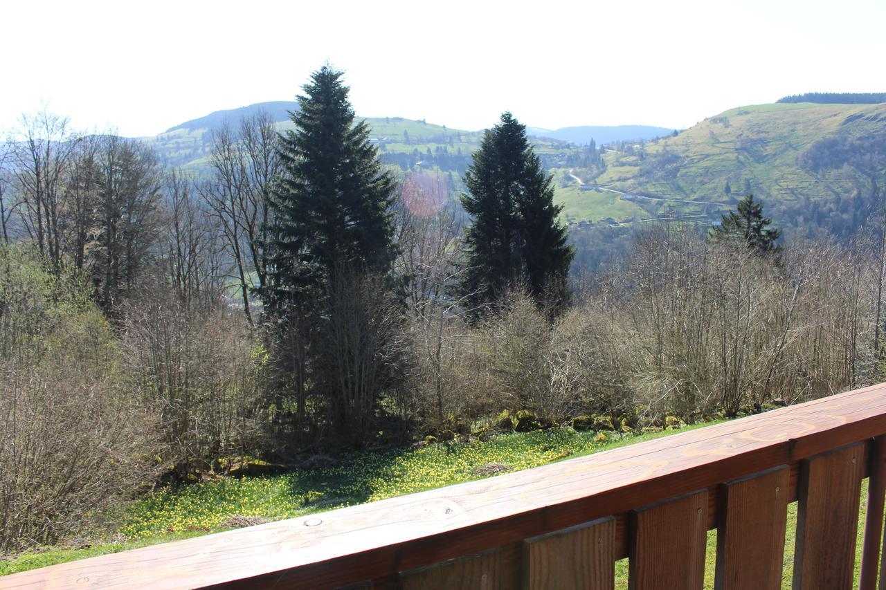 Chalet Les Bouleaux, La Montagne Des Lamas La Bresse Zewnętrze zdjęcie